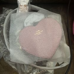 Coach Valentine Crossbody 