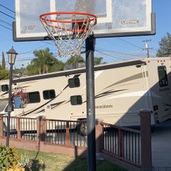 Lifetime Adjustable Portable Basketball Hoop