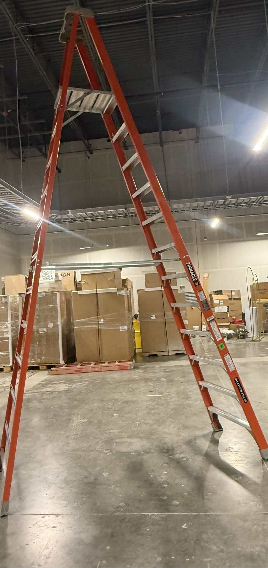 12 Foot Platform Ladder