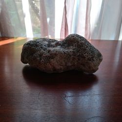 Indonesian Coral