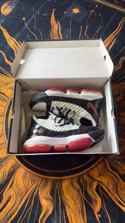 LEBRON XVI (SIZE 11)