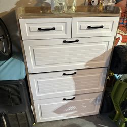 Shoe Organizer 