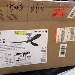 New Ceiling fan- In box