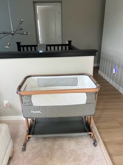 Papabilic Bassinet/Playpen
