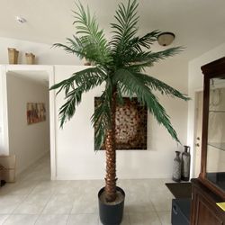 Beautiful Artificial Palm Tree