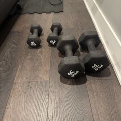 Dumbbell Set (10 and 30 lb)