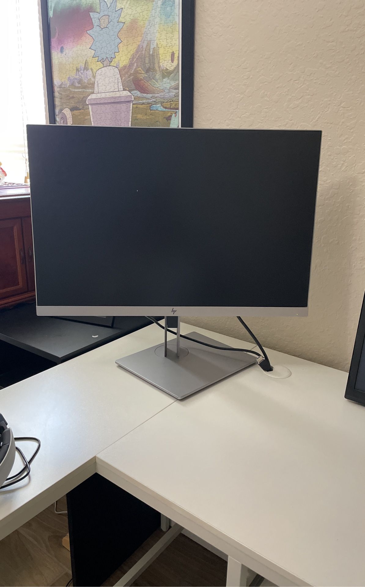 HP Monitor