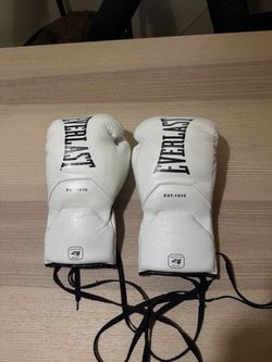 Everlast Boxing Gloves 10oz