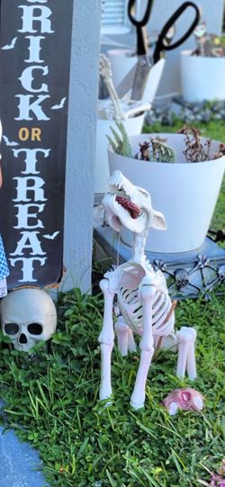 Skeleton Dog Halloween decor howls lights up