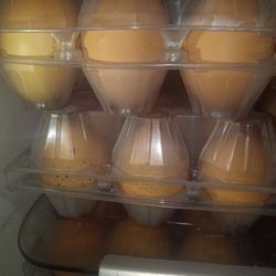 Farm Eggs / Huevos De Granja