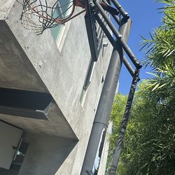 Professional, Adjustable Height Basket Ball Hoop