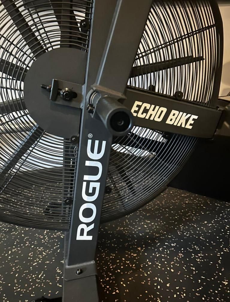 Rogue-Echo-Bike V3.0