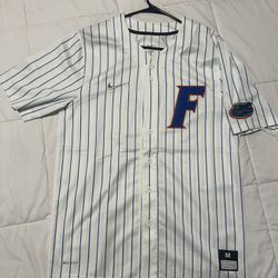 FLORIDA GATORS