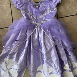 Disney Princess Sophia Halloween Costume 