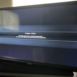 VIZIO 21in Tv/Monitor