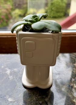 Succulent in Robot Ceramic Planter