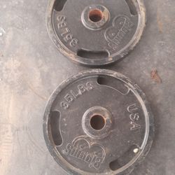 Weight Plates 35lbs