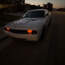 2010 Dodge Challenger