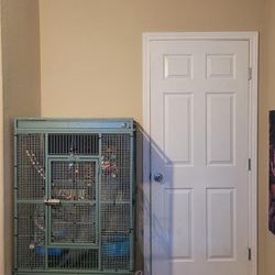 Bird Cage