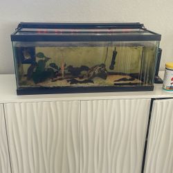 20 Gallon Fish Tank