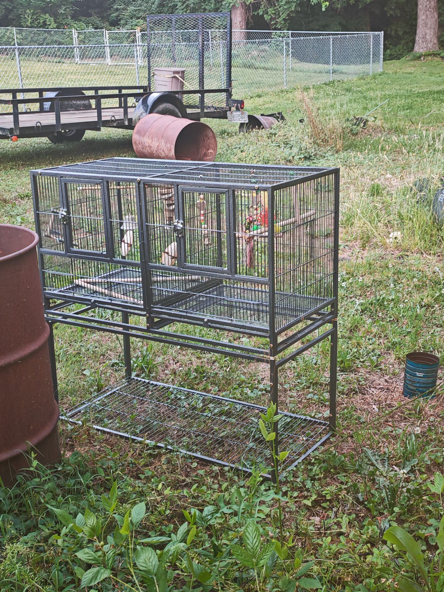 Bird Cage