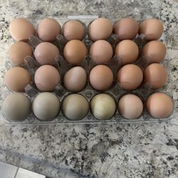 Eggs