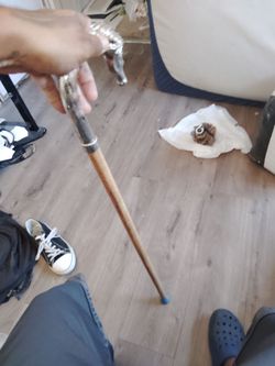 Cane