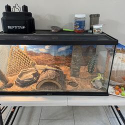 Bearded Dragon Tank And Equipment