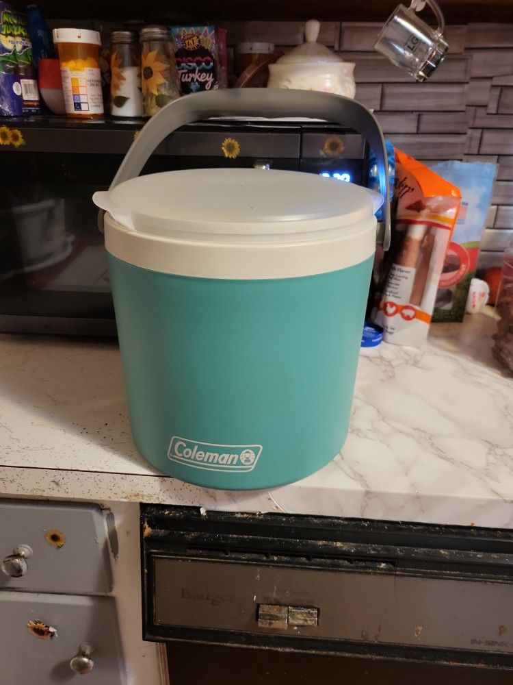 Coleman Small Cooler With Lid And Handle