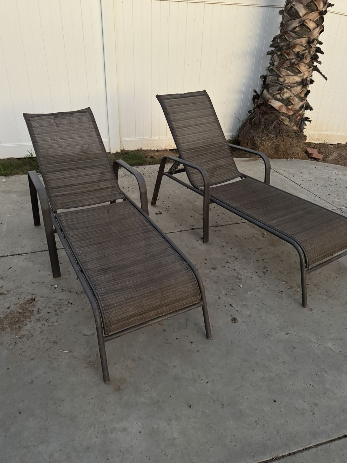 Pool Lounge Chairs $10 Each