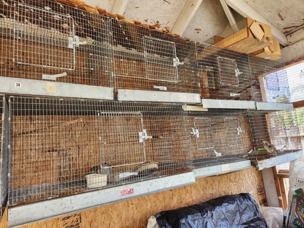 Cages And Bird Feeders