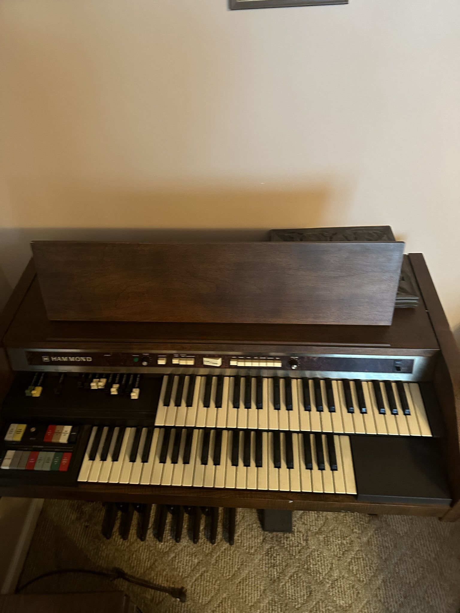 Piano or Organ 