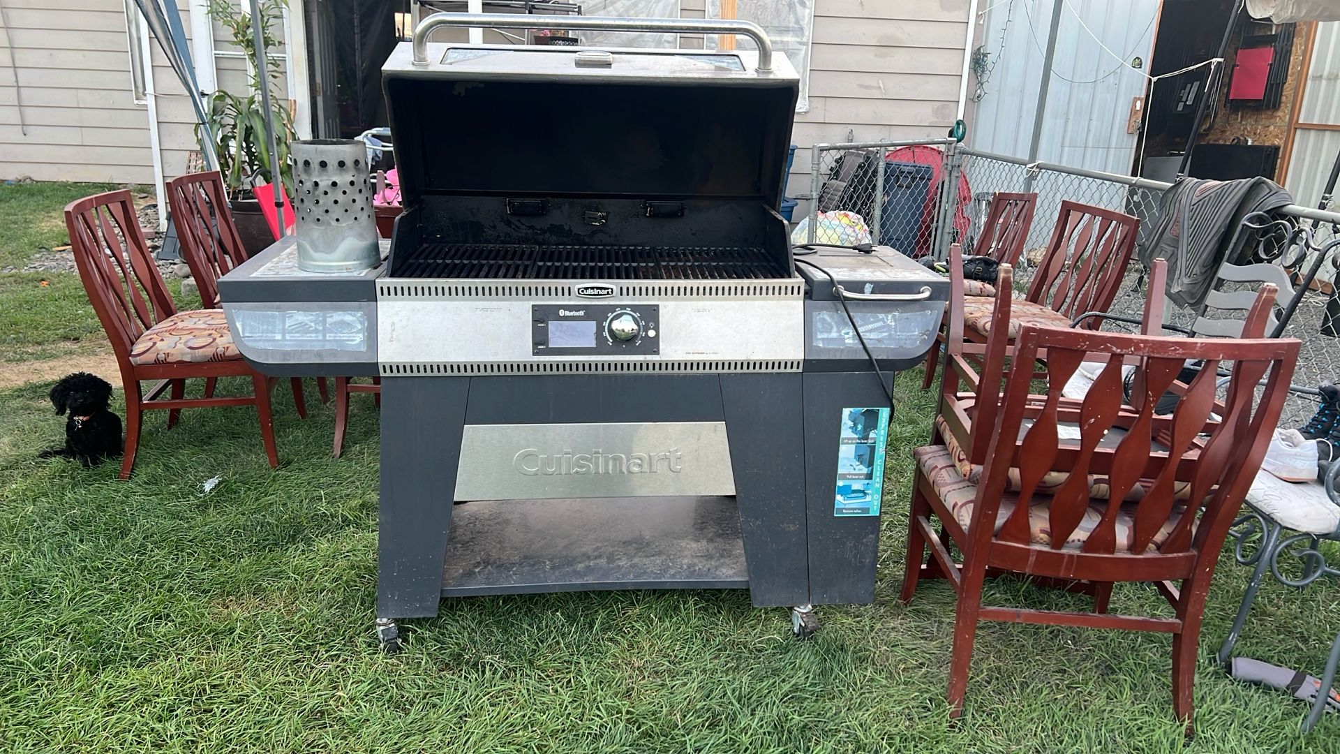 Bbq