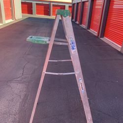 Werner 5’ Aluminum Ladder