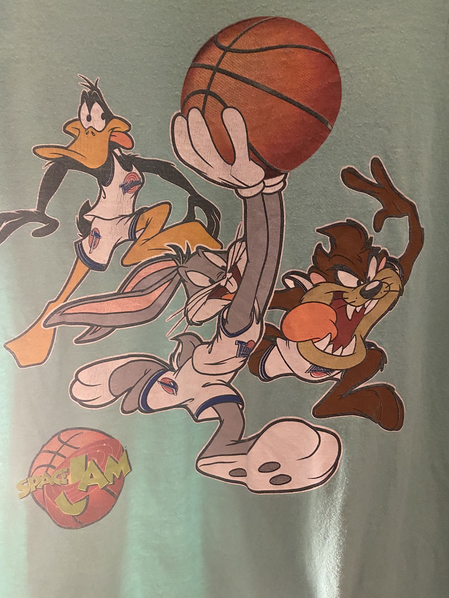 Vintage Space Jam Champion Toon Squad Jersey Men's Size Small 90s Lola  Bunny for Sale in Ontario, CA - OfferUp