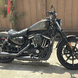 2020 Harley Davidson Sportster Iron 883