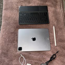 iPad Pro (4th Gen)  256GB 