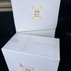 Plastic Plates — Fancy Disposable — 3 Boxes