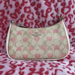 Coach Terri Bag Valentines Day 