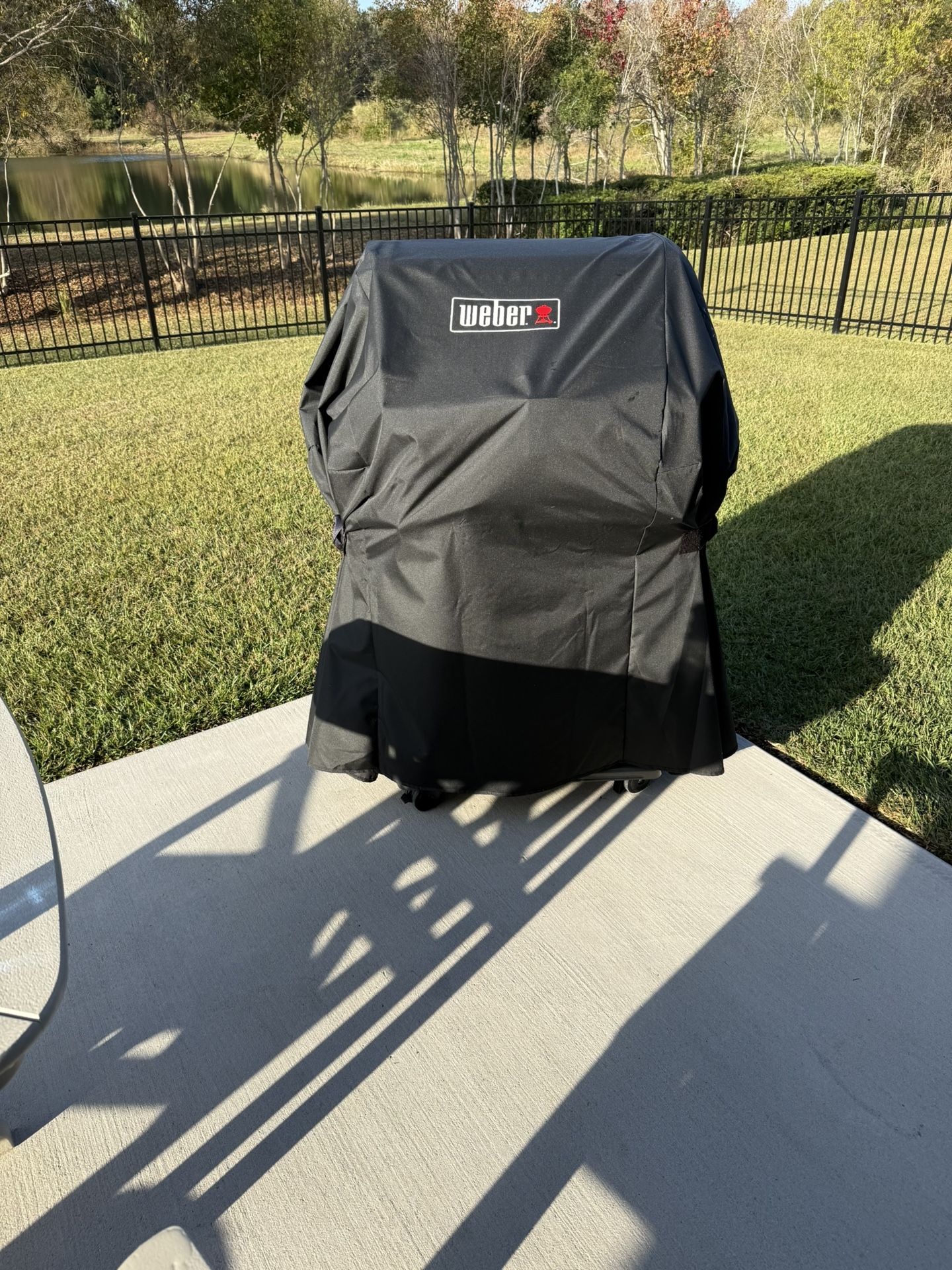 Weber Grill