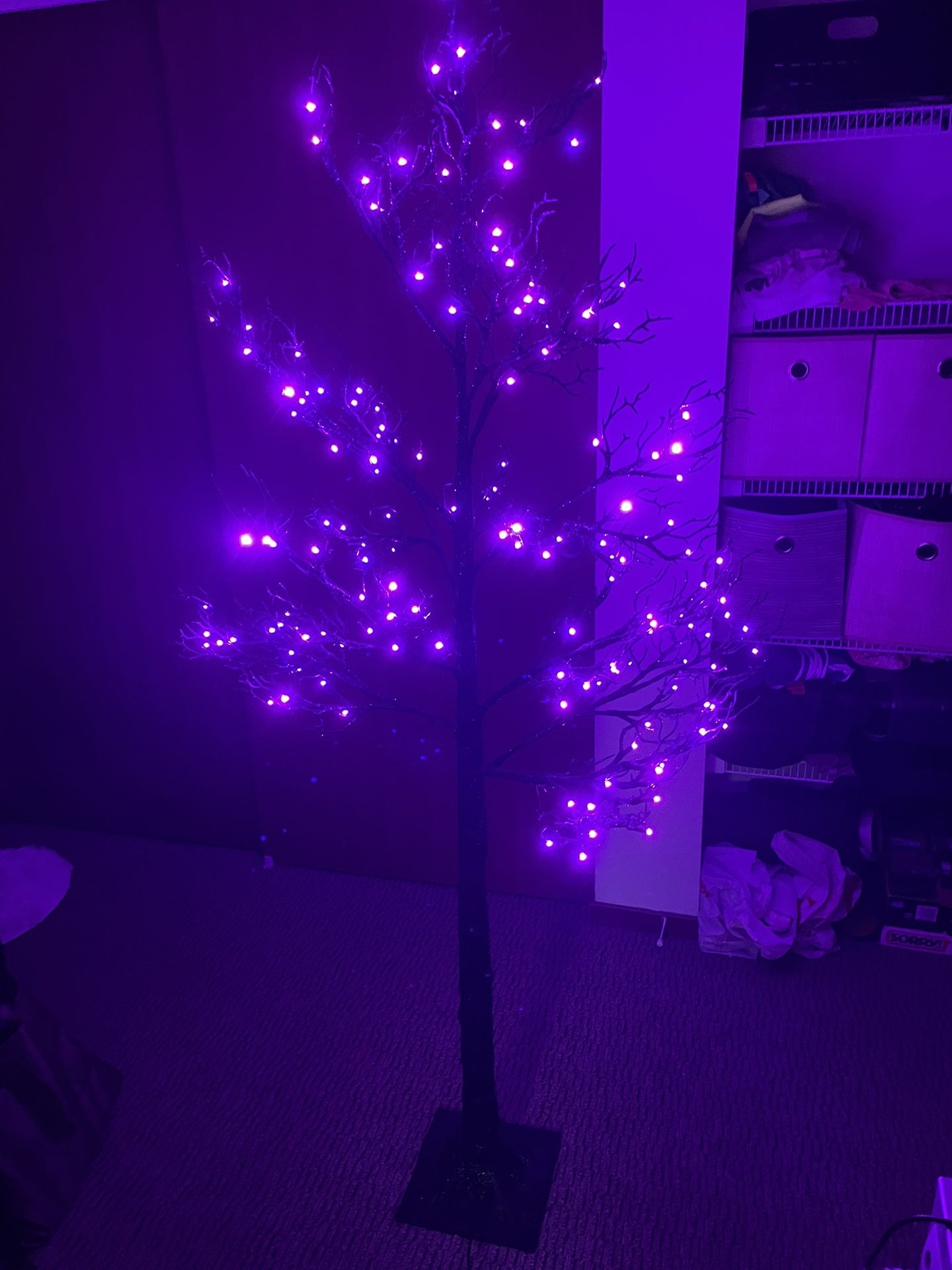 Costco 6ft. Halloween LED Black Glitter Twig Tree Decoration