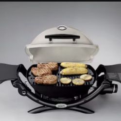 Weber Q1200 Grill