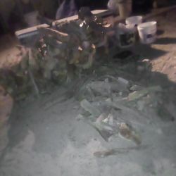 Firewood Mixed Seasoned