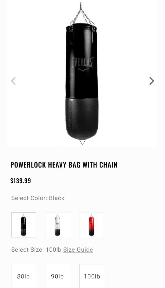 Everlast Punching Bag 100lbs