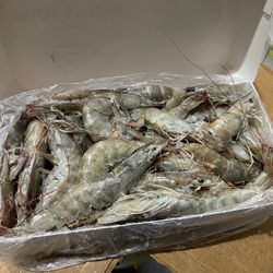 “Ecuador”Premium Quality White Shrimp 30/40 4lbs Head On