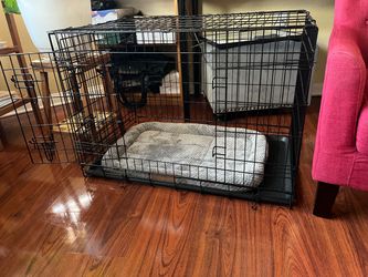 Large Dog Crate & pad