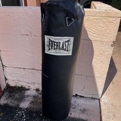 Everlast 80lb punching bag