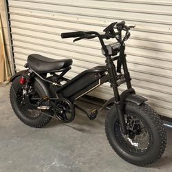 Jasion YR16 Electric Fat Tire bike