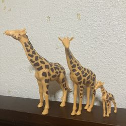 $20, Giraffe Family toys 