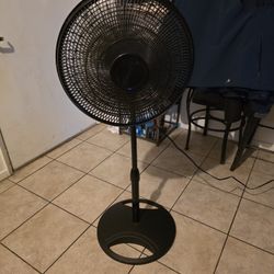 Fan